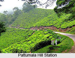 Pattumala Hills, Idukki, Kerala