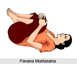 Pavana Muktasana, Meditative Asanas
