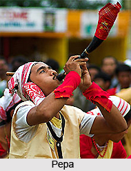Single Reed Musical Instruments