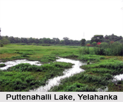 Puttenahalli Lake, Yelahanka, Bengaluru