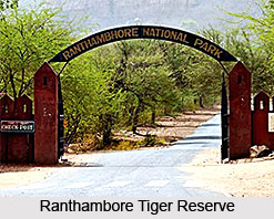 Ranthambore Tiger Reserve