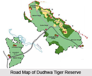 Dudhwa Tiger Reserve