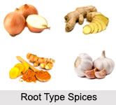 Root Type Spices, Indian Spices