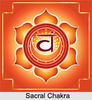 Sacral Chakra, Kundalini Chakras