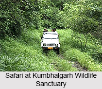 Kumbhalgarh Wildlife Sanctuary, Sanctuary in Rajasthan