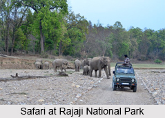 Rajaji National Park, National Park in Uttarakhand