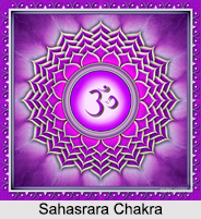 Sahasrara Chakra, Kundalini Chakra