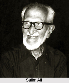 Salim Ali, Indian Naturalist
