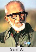 Naturalists in Independent India