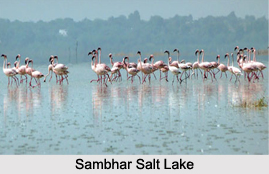 Lakes of Rajasthan
