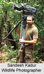 Wildlife Photography in India
