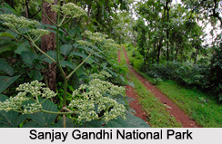 National Parks of Maharashtra
