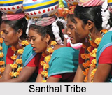 Santhal Tribe, Tribes of Jharkhand