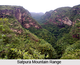 Narmada Valley Dry Deciduous Forests in India