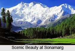 Sonamarg, City in Jammu and Kashmir