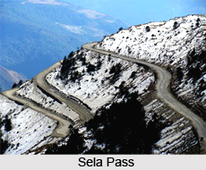 Sela Pass, Arunachal Pradesh