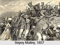 Indian Freedom Struggle, Indian History