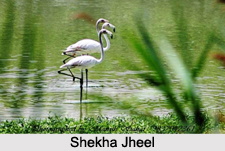 Lakes in Uttar Pradesh
