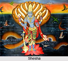 Types of Snakes, Agni Purana