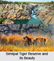 Nature Tourism in Odisha