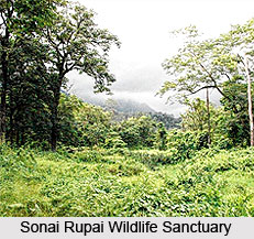 Sonai Rupai Wildlife Sanctuary, Sonitpur District, Assam