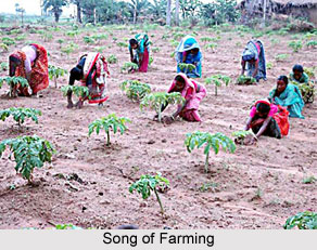 Work and Festive Songs, Folk Music in India