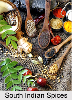 South Indian Spices