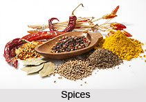 Ingredients of Indian Food