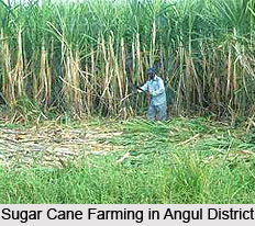 Economy of Angul District