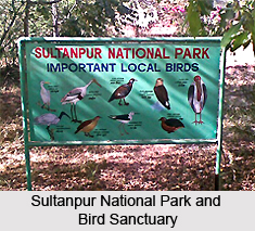 Sultanpur National Park and Bird Sanctuary, Haryana