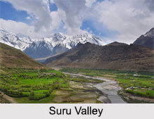 Suru Valley, Kargil, Indian Cities
