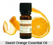 Fruit Oils in Aromatherapy