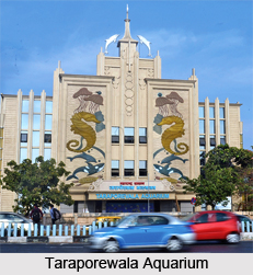 Taraporewala Aquarium, Mumbai, Maharashtra
