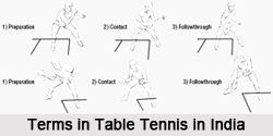 Terms in Table Tennis