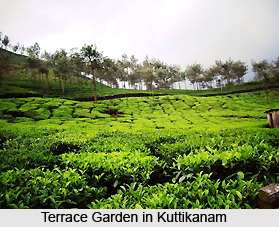 Tourist Places around Peermade, idukki, Kerala, South India