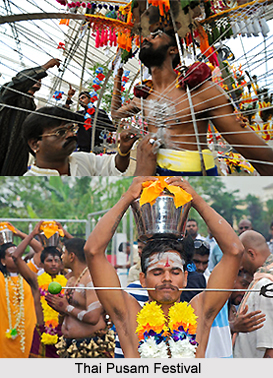 Thai Pusam Festival, Tamil Nadu