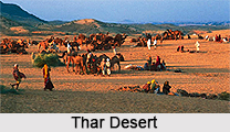 Travel Information on Rajasthan
