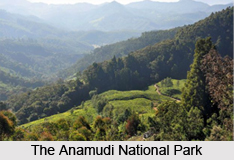 Anamudi National Park, Kerala