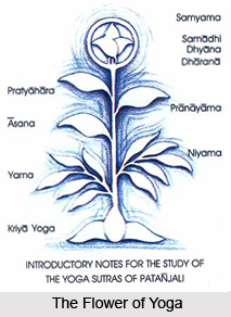 Visesa avisesa lihgamdtra alihgani gunaparvani, Patanjali Yoga Sutra