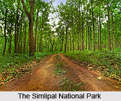 Tourism in Mayurbhanj District