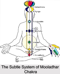 Exercises for Mooladhara Chakra