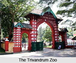 Trivandrum Zoo,Thiruvananthapuram, Kerala