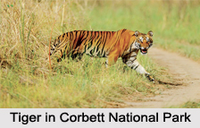 Uttaranchal Eco Parks