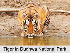Uttar Pradesh Eco Parks