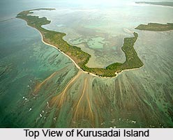 Kurusadai Islands, Tamil Nadu