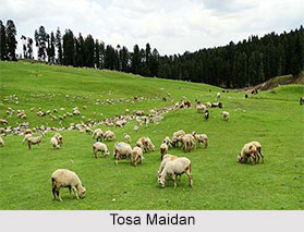 Tourism in Khag