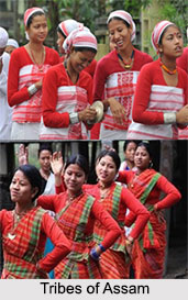 Tribes of Assam