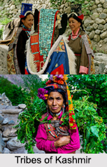 Tribes of Kashmir
