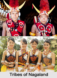 Tribes of Nagaland