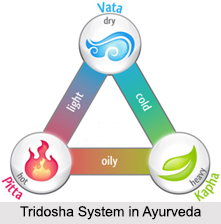 Tridosha System in Ayurveda